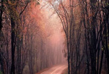 米体：卡斯特罗想要加盟国米，博洛尼亚要价4000万欧元.