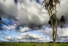 九游娱乐：西媒：库尔图瓦膝盖囊肿破裂疼痛难忍，可能缺席对阵阿森纳的欧冠.